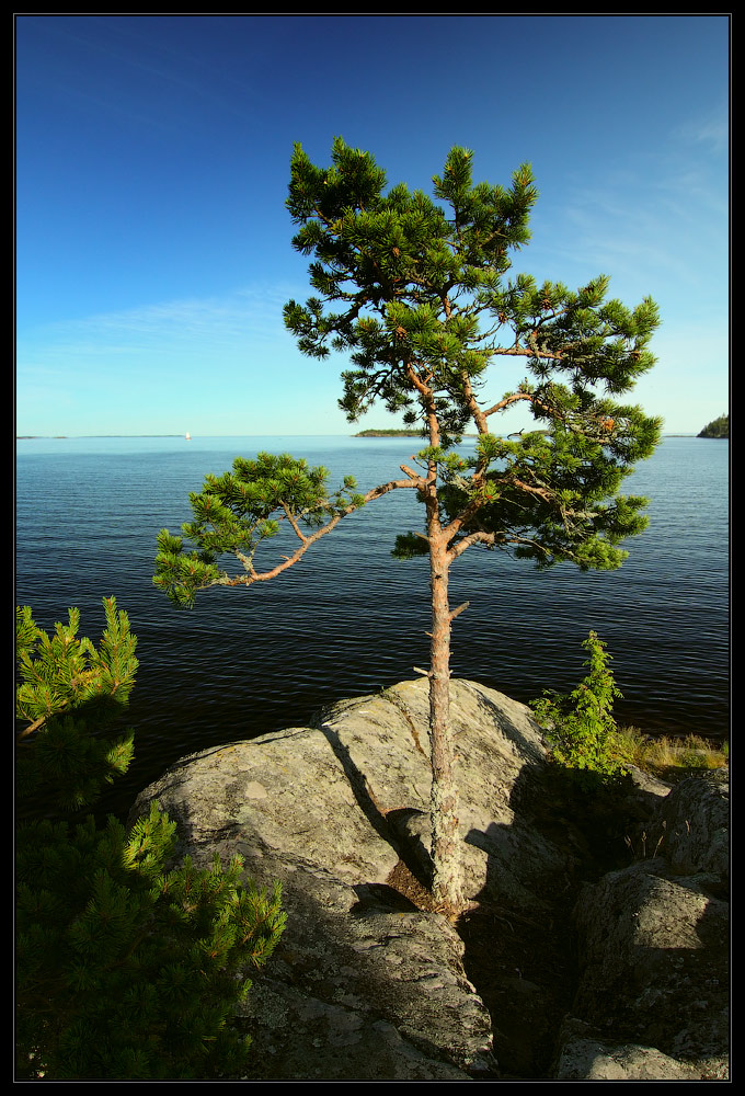 photo "***" tags: landscape, summer, water