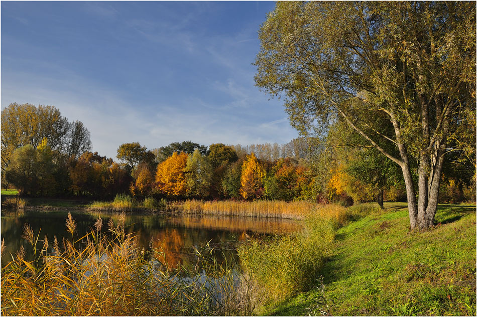 photo "***" tags: landscape, autumn