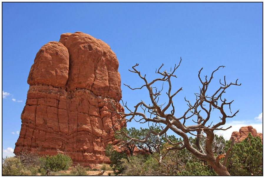 photo "In the desert" tags: landscape, travel, North America