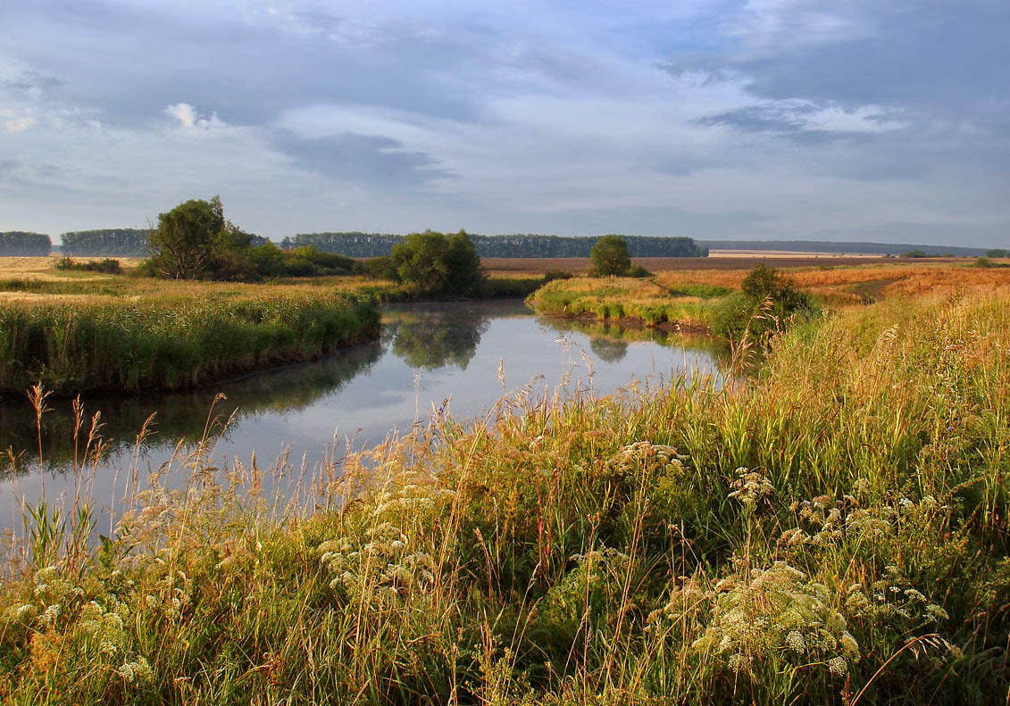 photo ".. Soul origins .." tags: landscape, summer