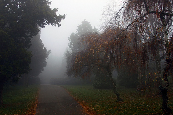 photo "***" tags: landscape, autumn