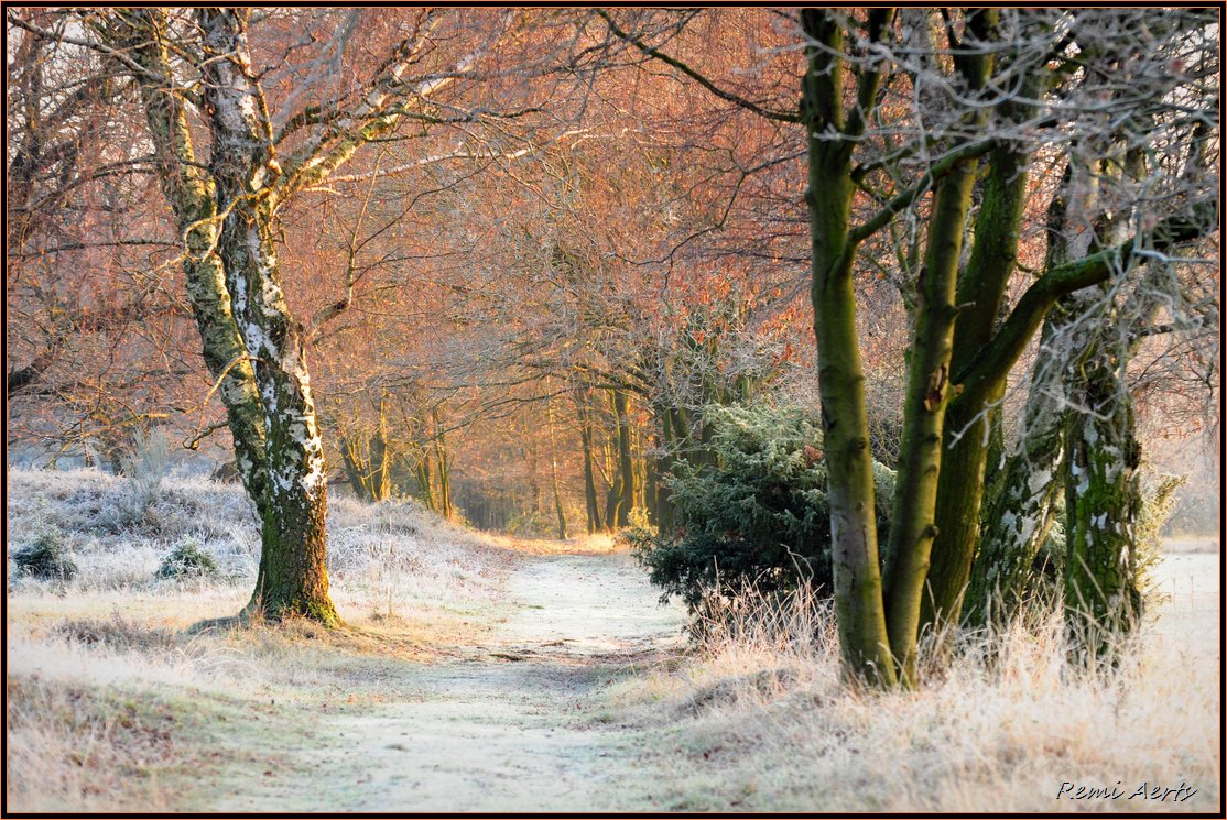 photo "the first winter day" tags: landscape, winter