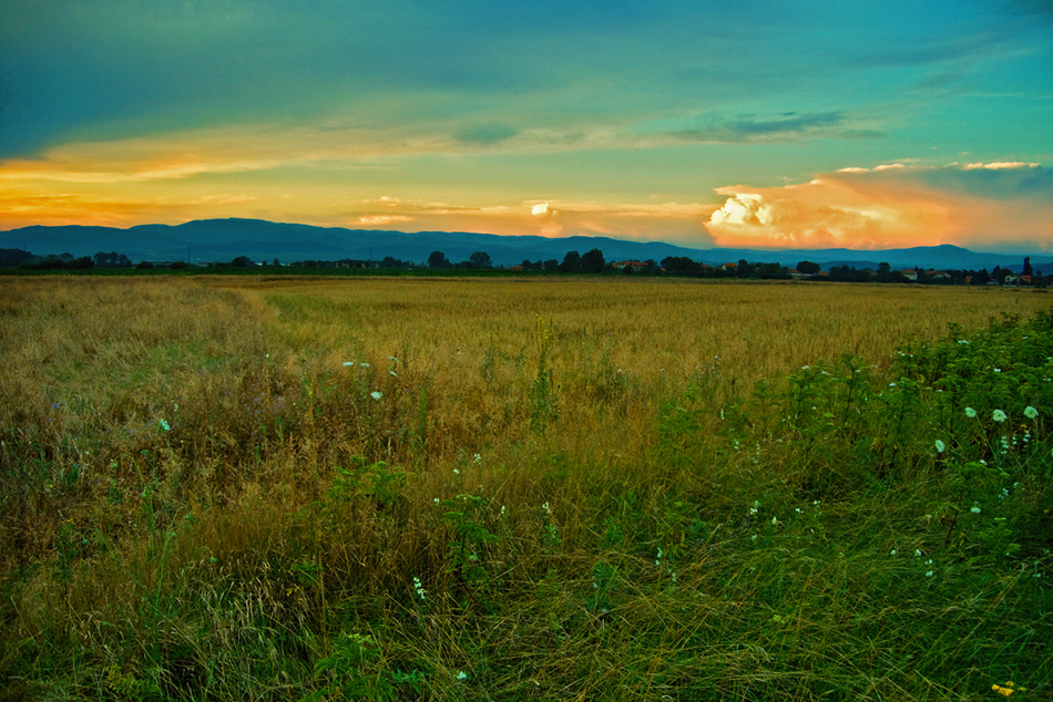 photo "Remembering the summer evenings ..." tags: landscape, summer, sunset