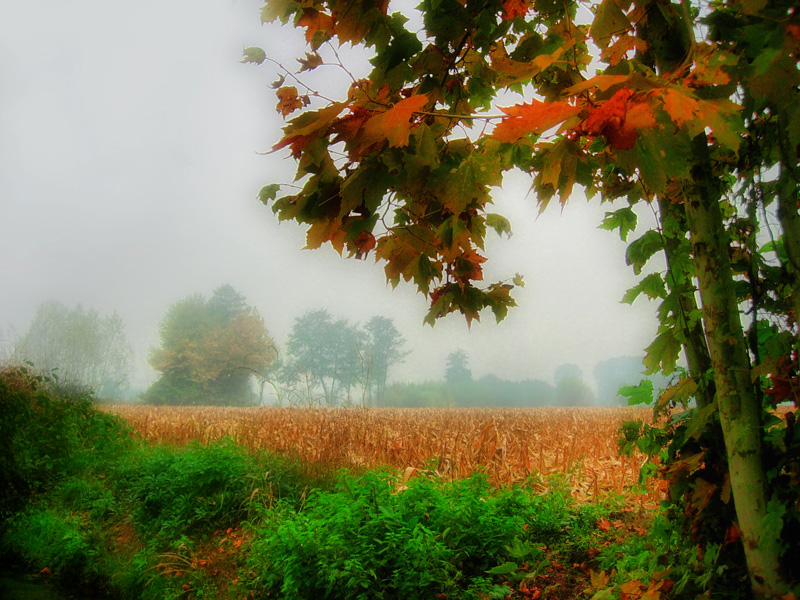 photo "***" tags: landscape, autumn