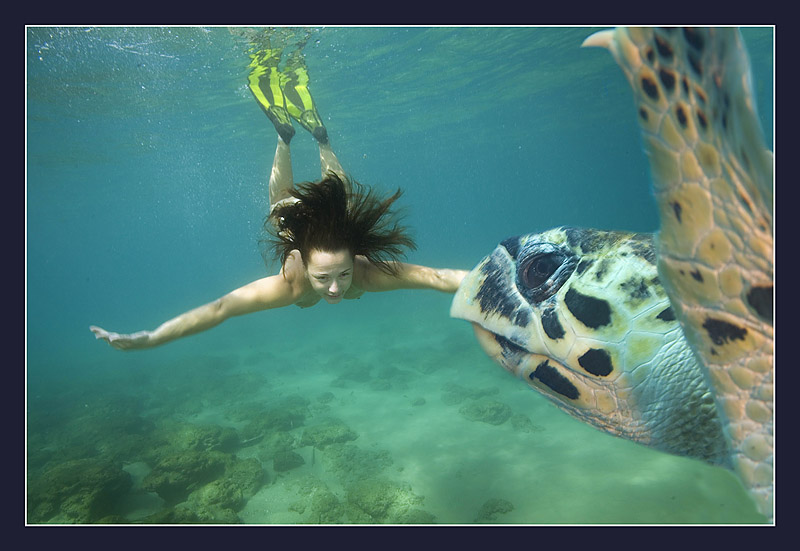 photo "Free dive" tags: underwater, 