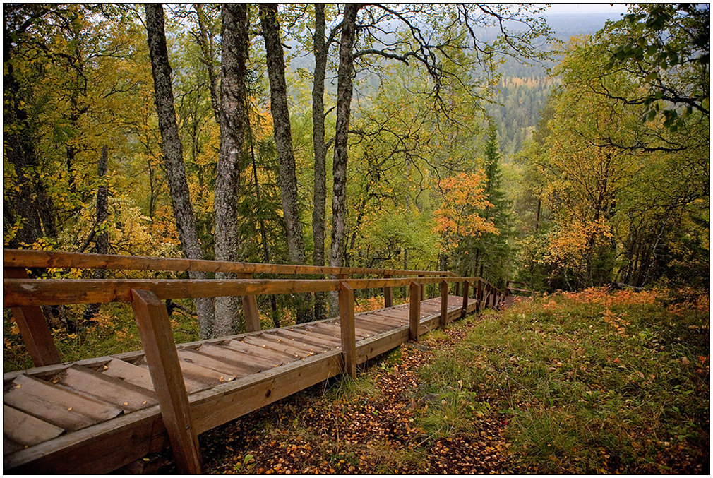 photo "Ladder on mountain Sekirnaya" tags: architecture, landscape, autumn