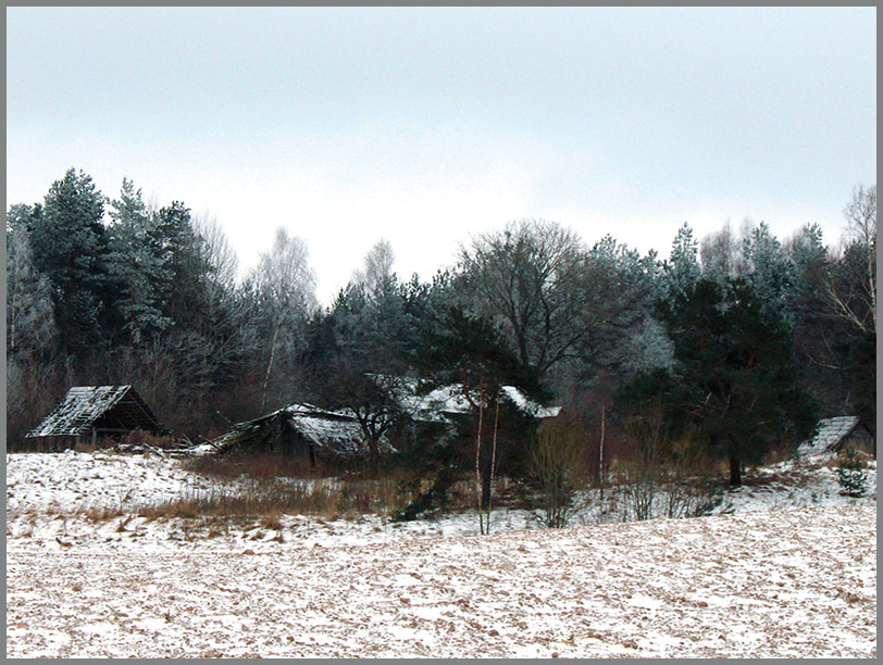 photo "***" tags: landscape, forest, winter