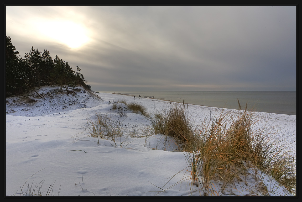 photo "Winter coast" tags: landscape, water, winter