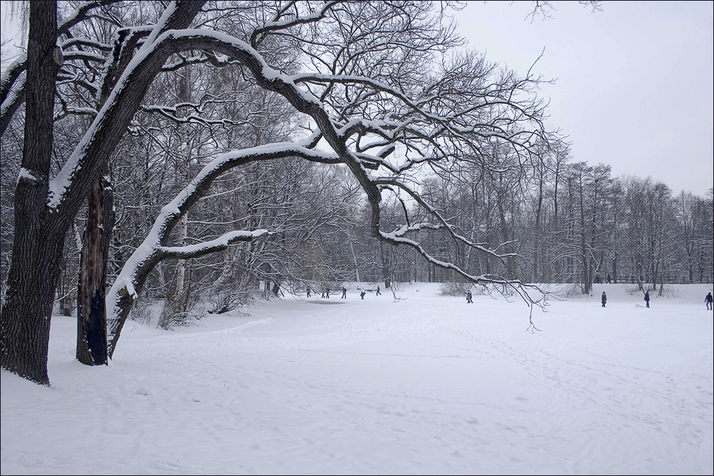 фото "зима пришла.." метки: пейзаж, зима