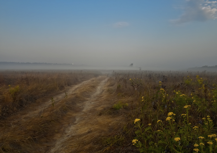 фото "Утро туманное" метки: пейзаж, 