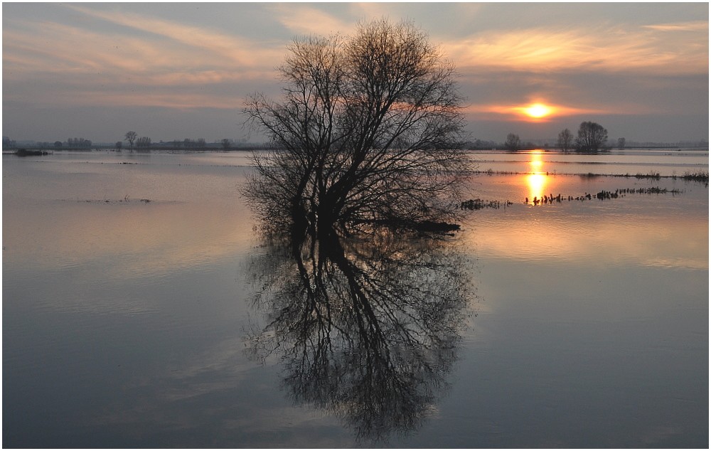 photo "Lonely tree." tags: landscape, 