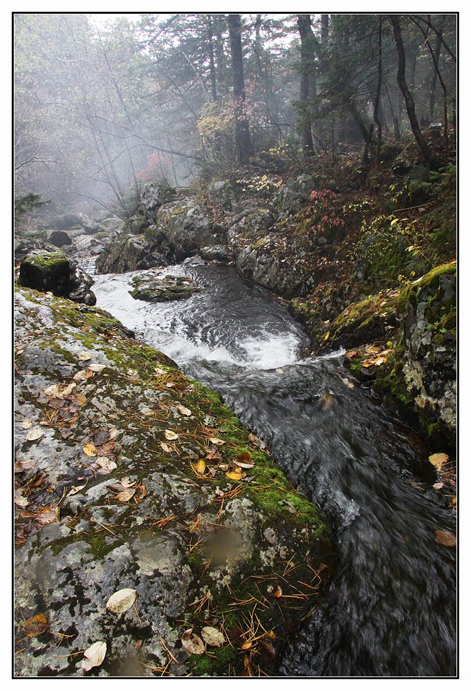 photo "***" tags: landscape, autumn, forest