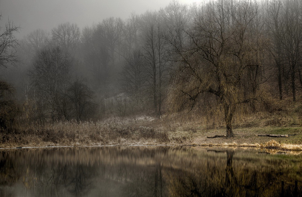 photo "Silver & Gold" tags: landscape, autumn, water