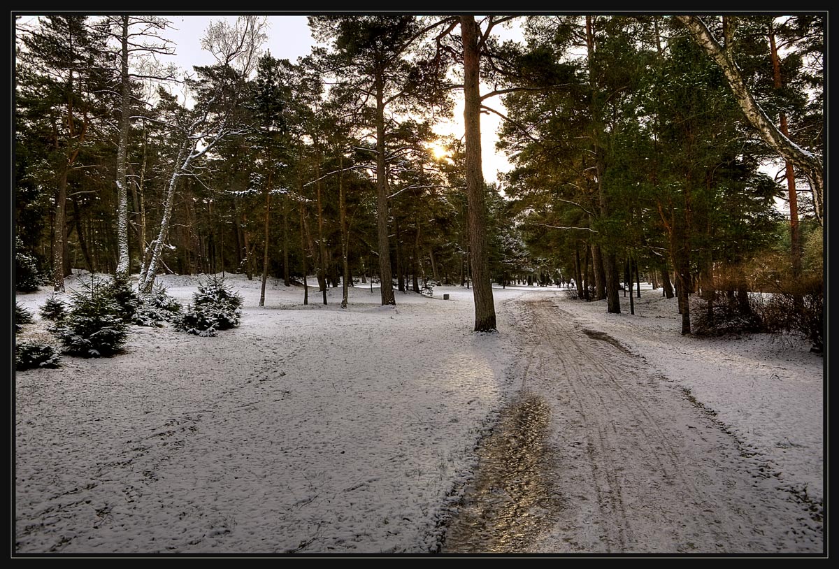 фото "Первый морозец" метки: пейзаж, зима, лес