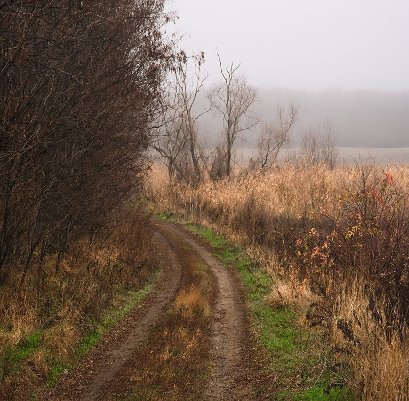 фото "Дорога в позднюю осень" метки: пейзаж, осень