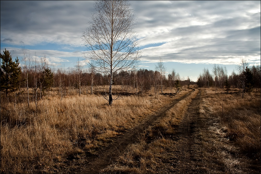 фото "***" метки: пейзаж, осень