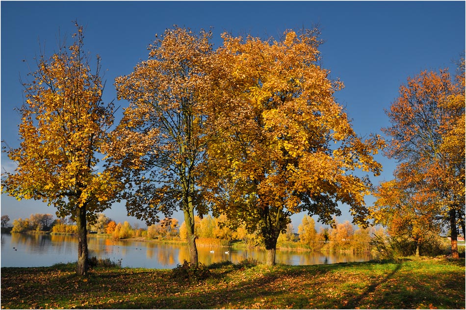 photo "Esen" tags: landscape, autumn