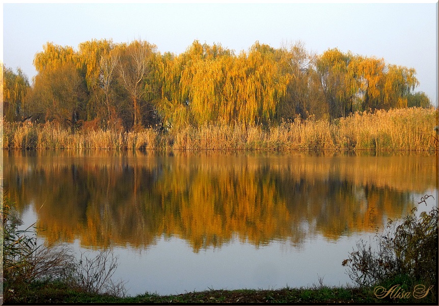 фото "..." метки: пейзаж, Кубань, вода