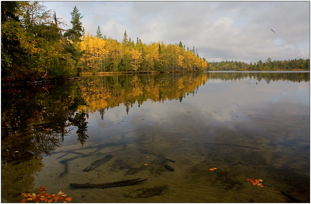 photo "Solovki. Lake Big Kemennoye" tags: landscape, autumn, water