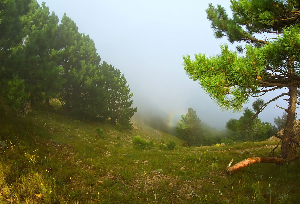 фото "Про маленькую радугу в туманах Ай-Петри" метки: пейзаж, лето