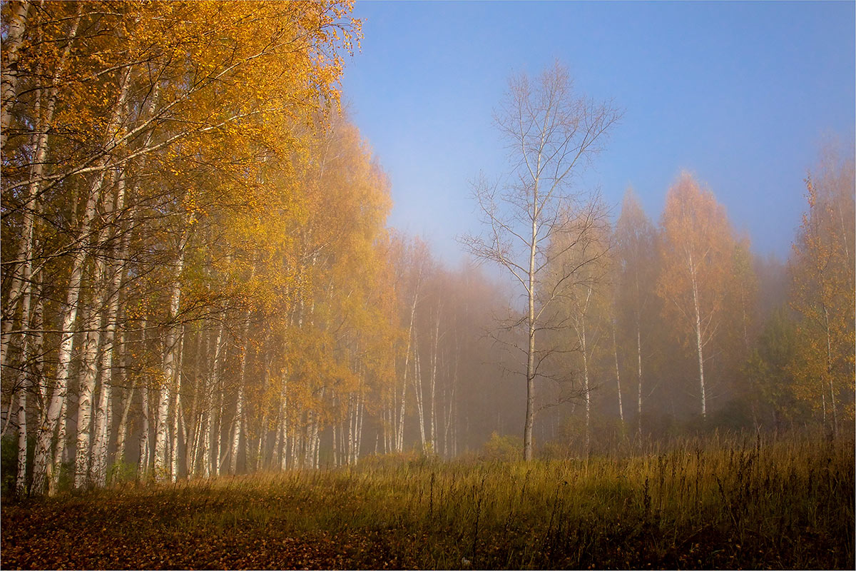 фото ""Там, за туманами..."" метки: пейзаж, лес, осень