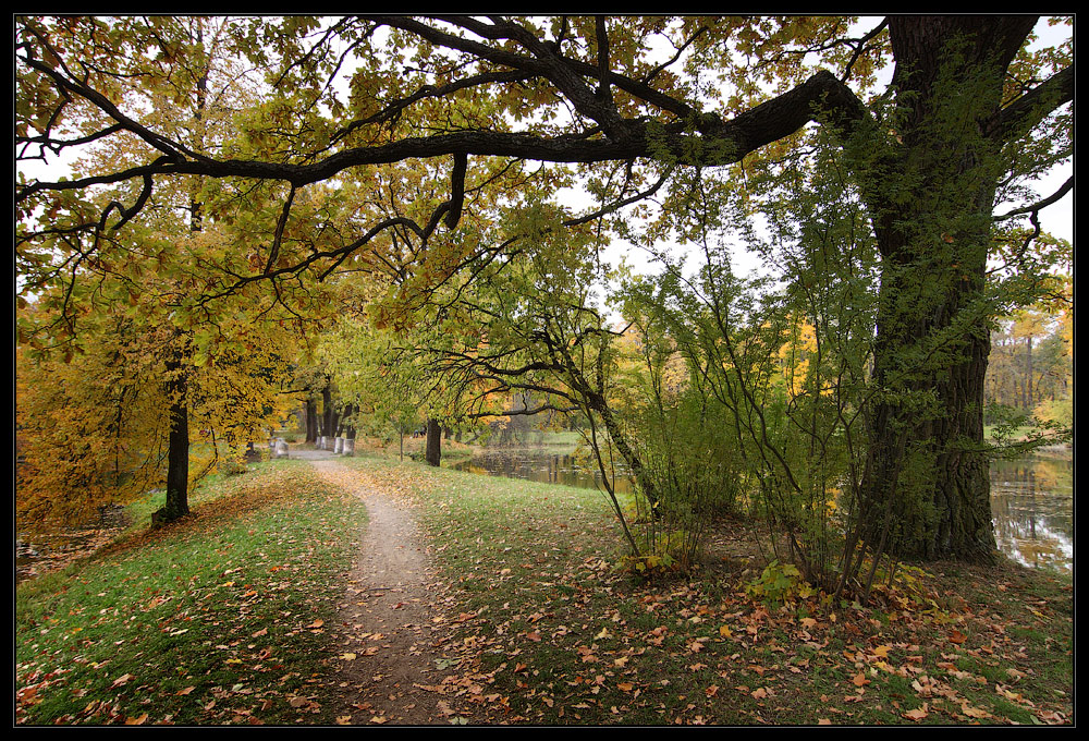 фото "Шуршать листьями..." метки: пейзаж, вода, осень