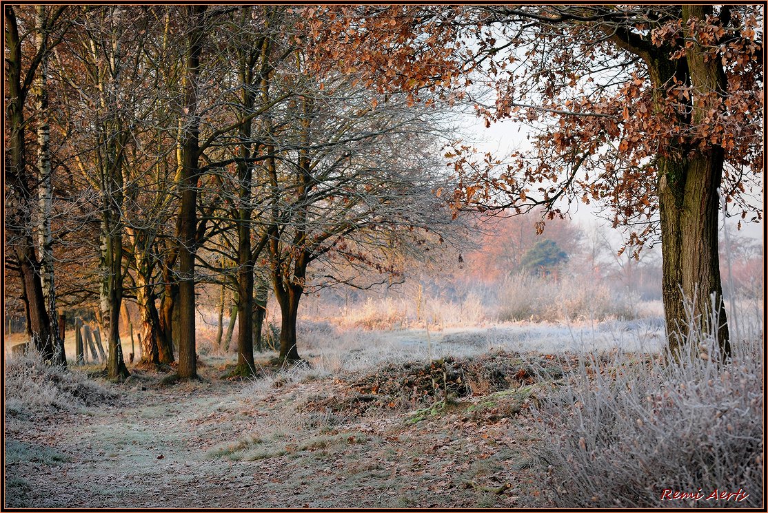 photo "the sun is coming" tags: landscape, winter