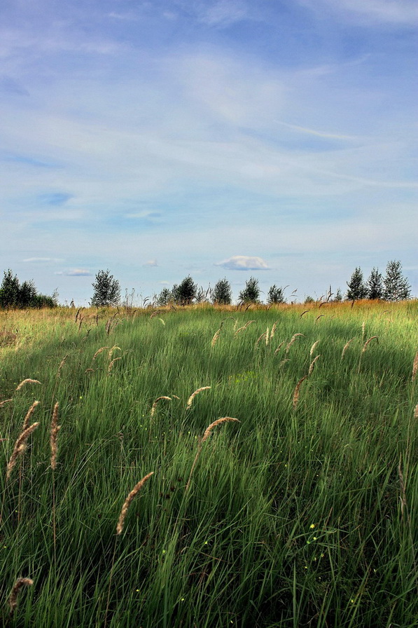 photo "***" tags: landscape, summer