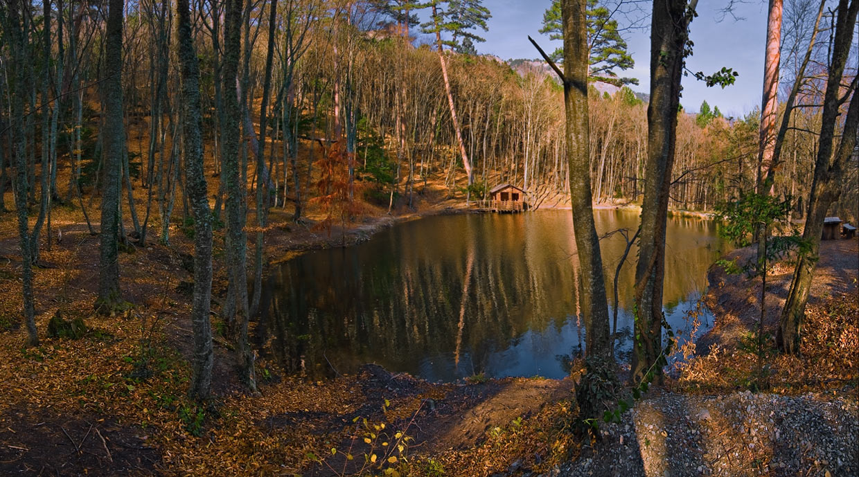photo "***" tags: landscape, forest