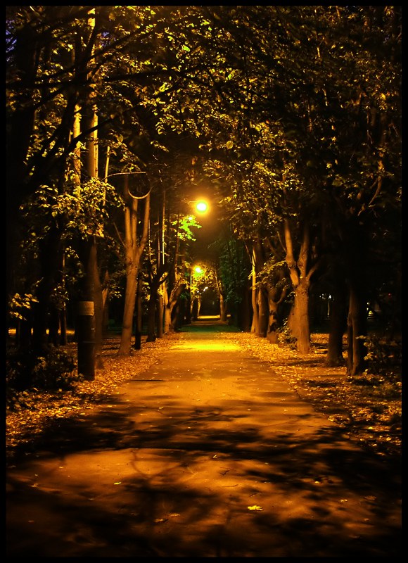 photo "Night in the Park" tags: landscape, night