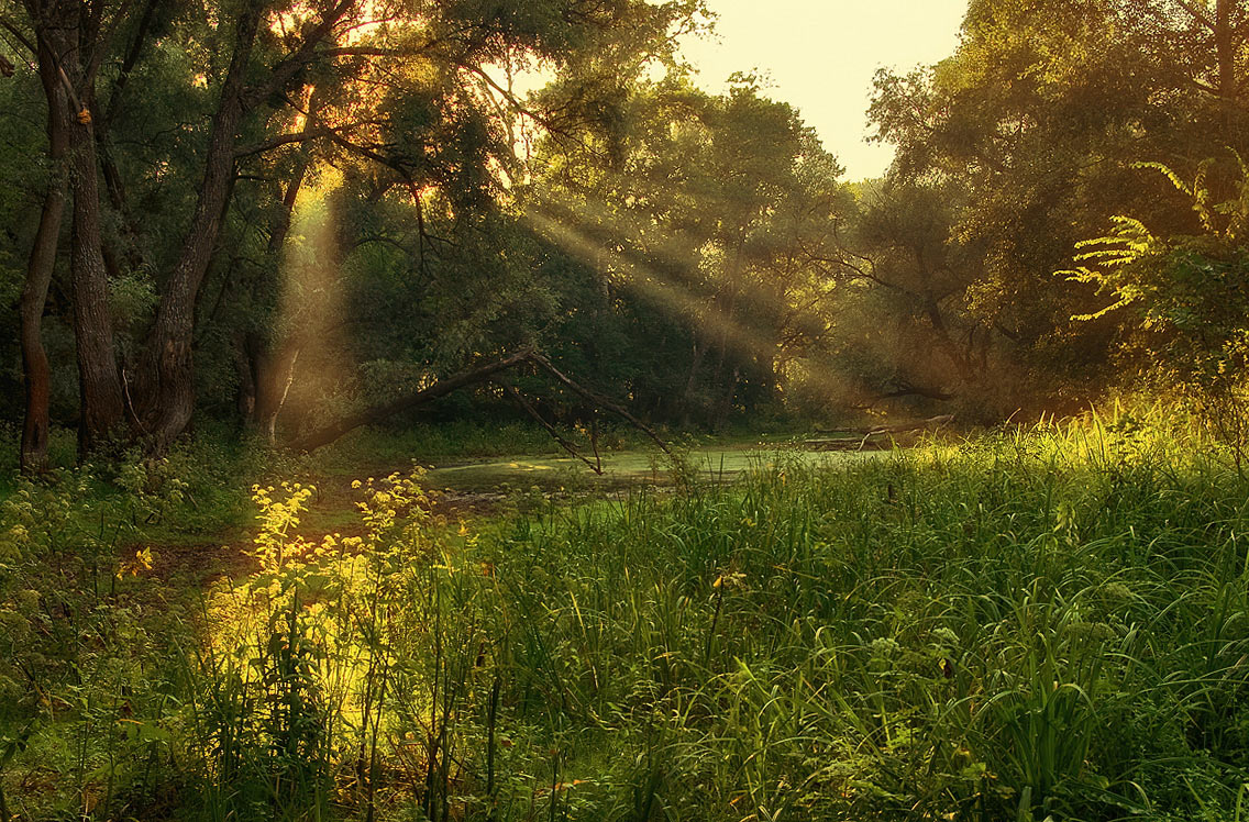 photo "***" tags: landscape, summer, sunset