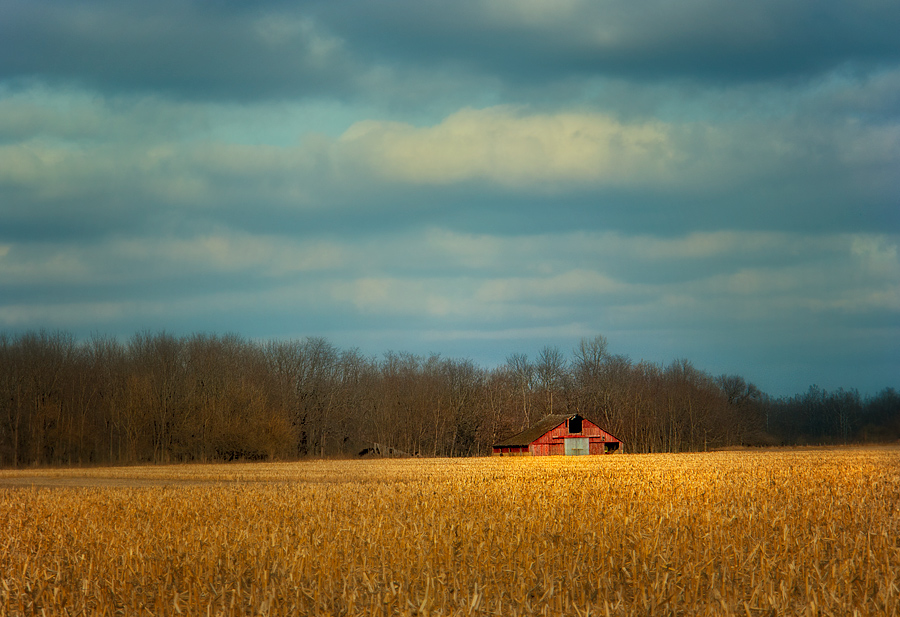 photo "Lone Red Barn" tags: landscape, architecture, 