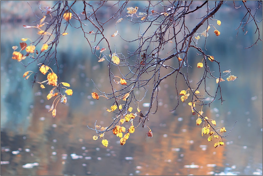 photo "***" tags: landscape, autumn