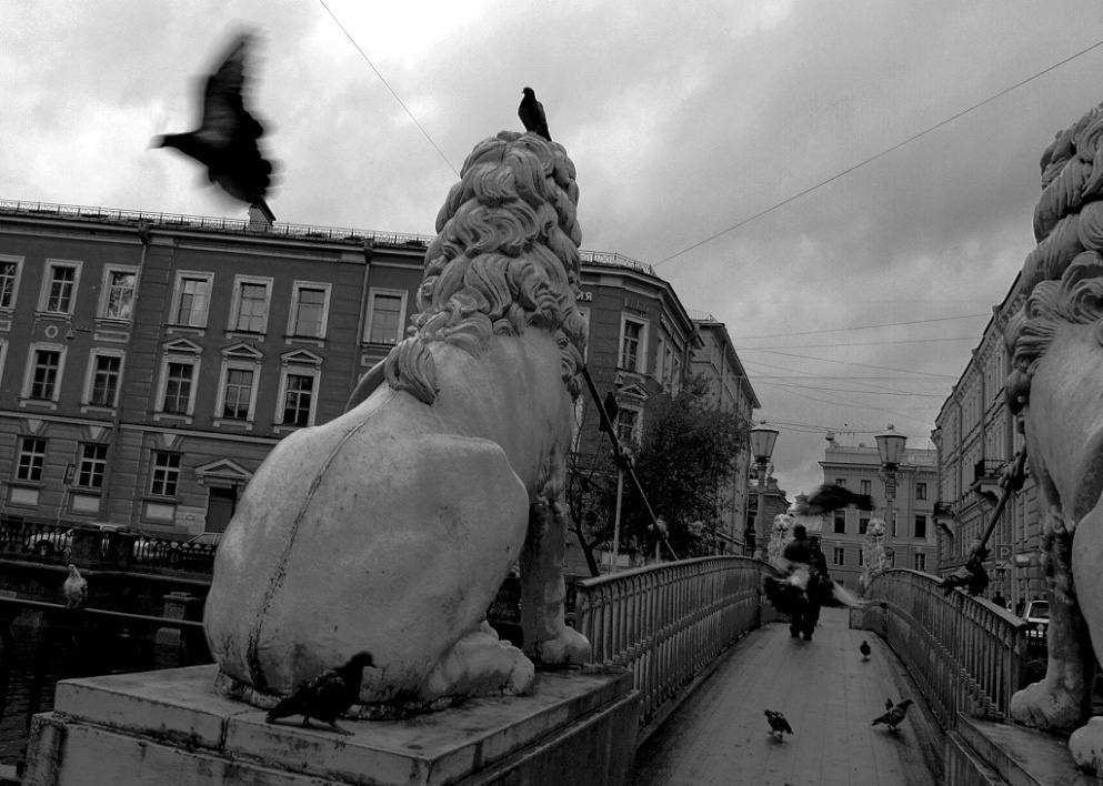 photo "***" tags: city, black&white, 