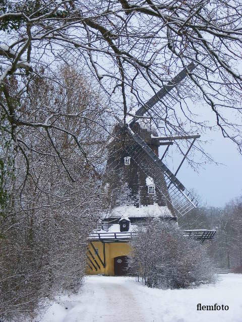 фото "Winterday." метки: пейзаж, 