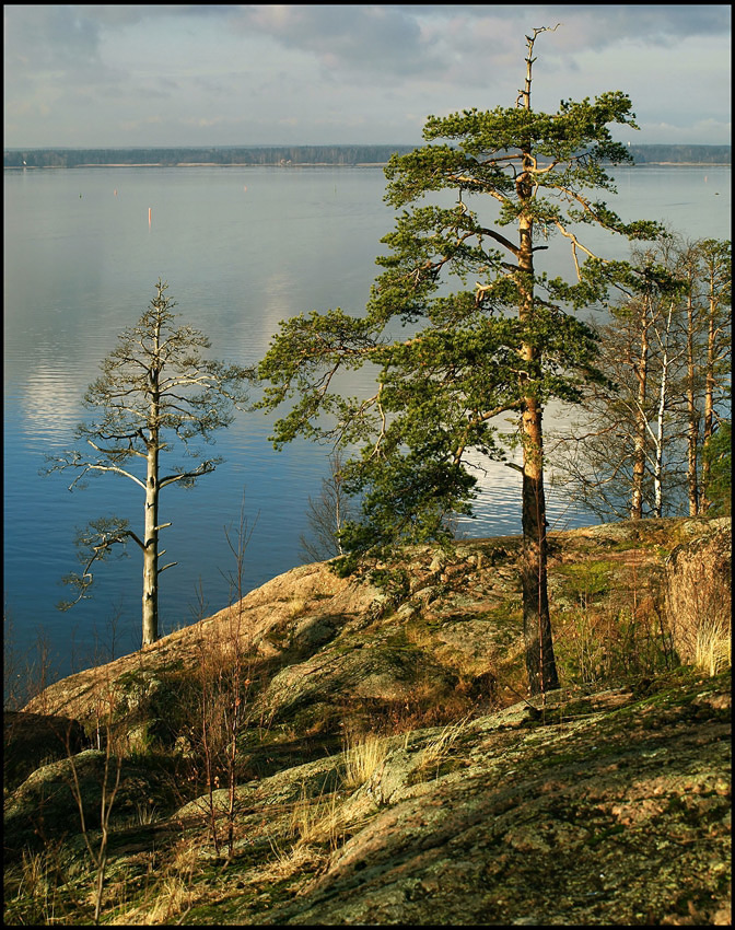 фото "на Выборгских скалах" метки: пейзаж, осень