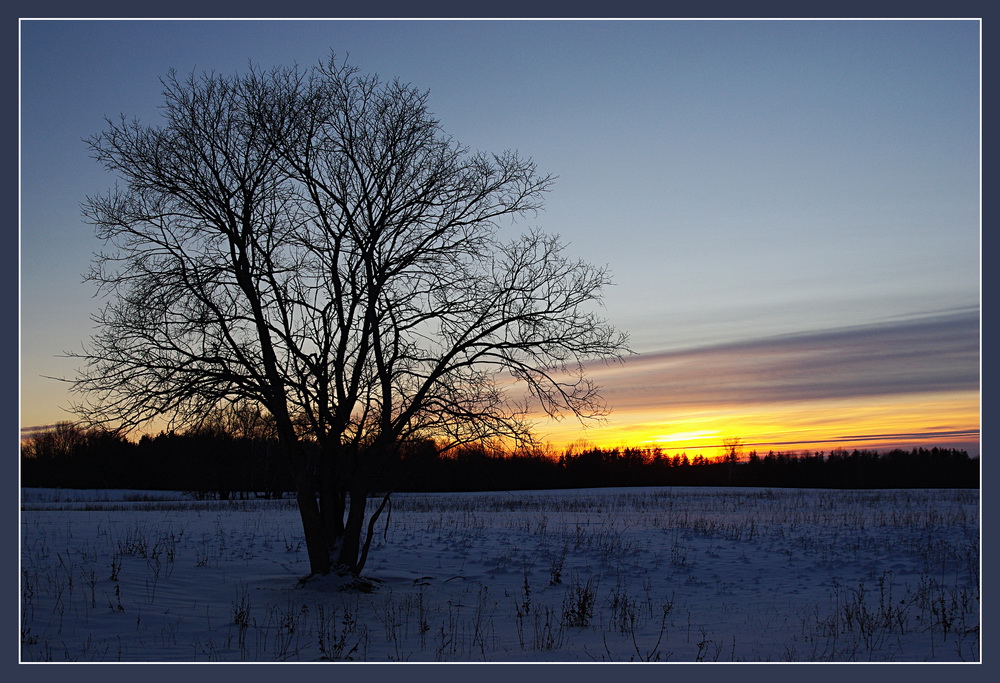 photo "***" tags: landscape, sunset, winter