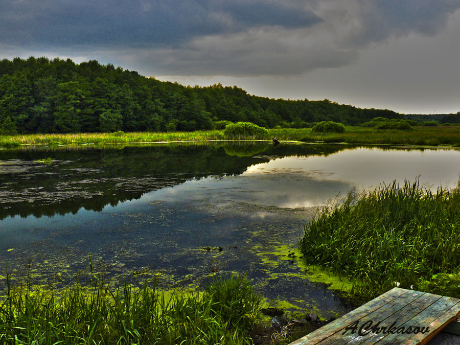 photo "***" tags: landscape, summer