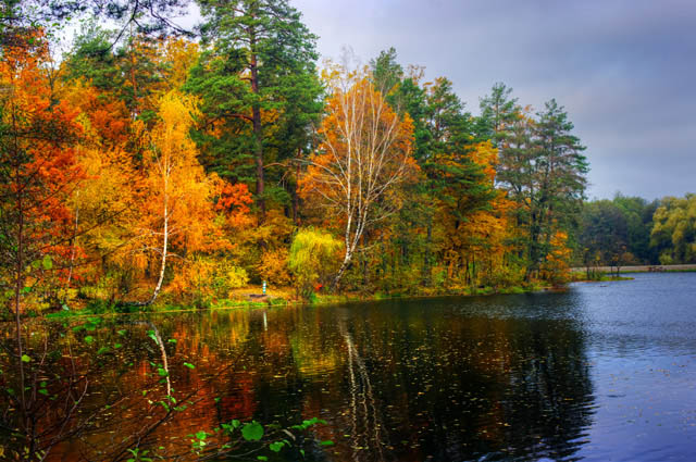 photo "Autumn" tags: landscape, autumn