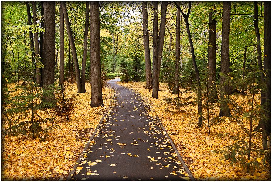 photo "***" tags: landscape, city, autumn