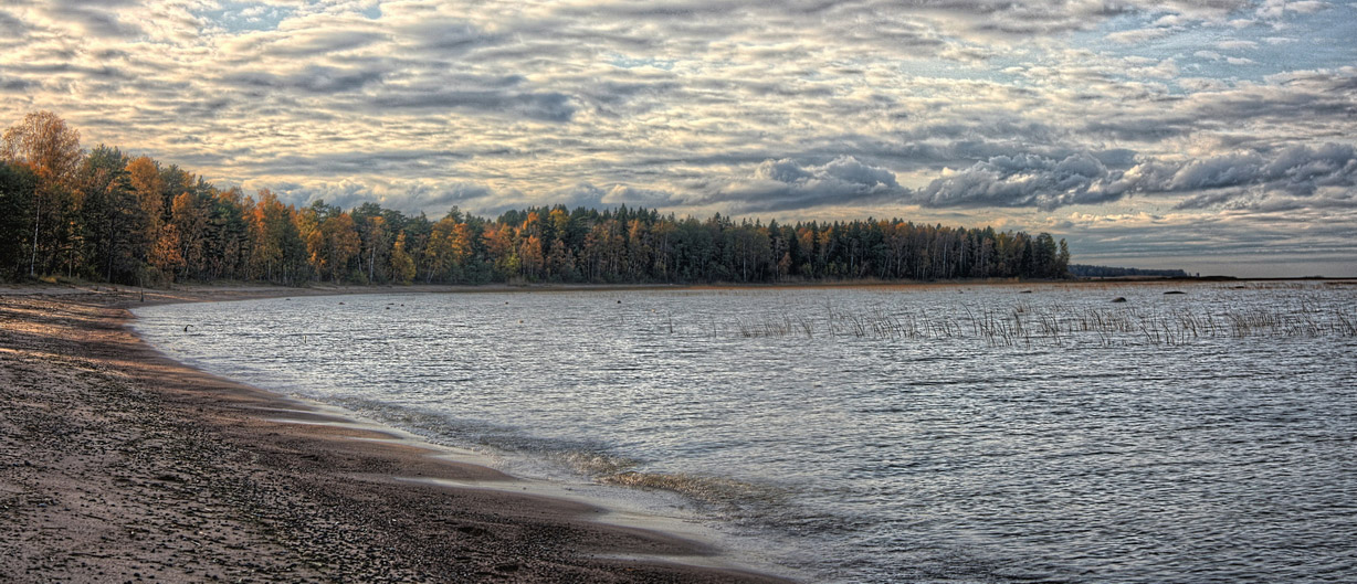 photo "осенняя панорама" tags: landscape, misc., nature, autumn, clouds, tree, water, песок