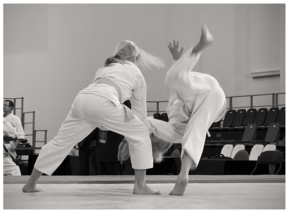 фото "Flight" метки: спорт, репортаж, 