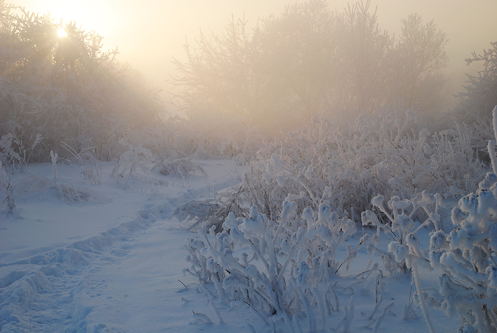 photo "***" tags: landscape, winter