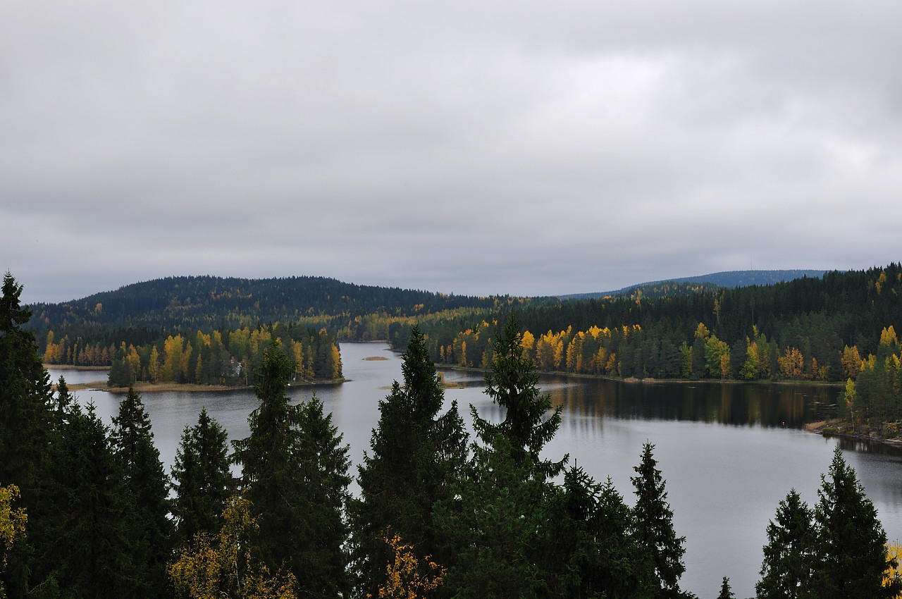 фото "Haminalahti" метки: пейзаж, осень