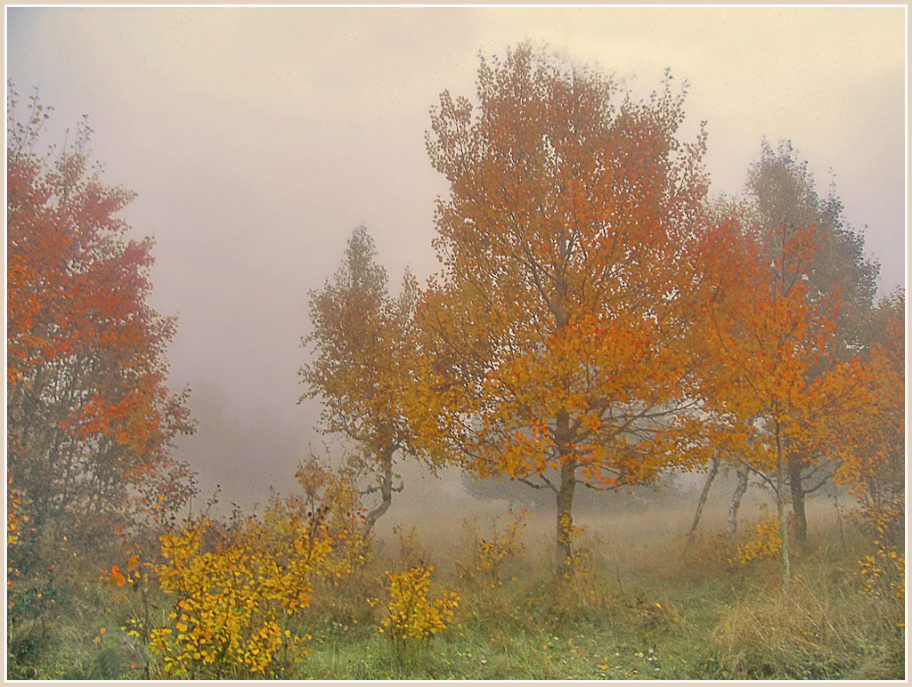 photo "***" tags: landscape, autumn