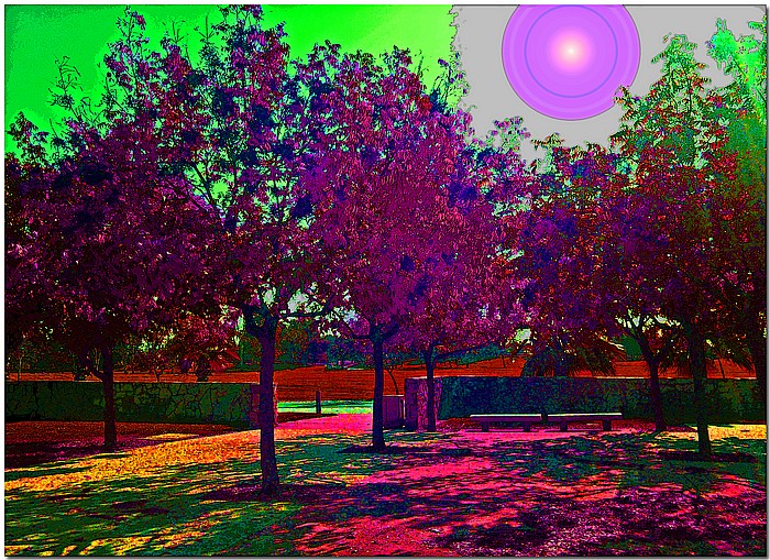 photo "***" tags: landscape, montage, 