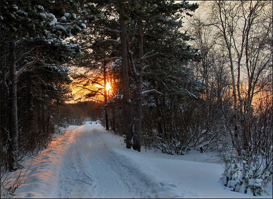 photo "***" tags: landscape, forest