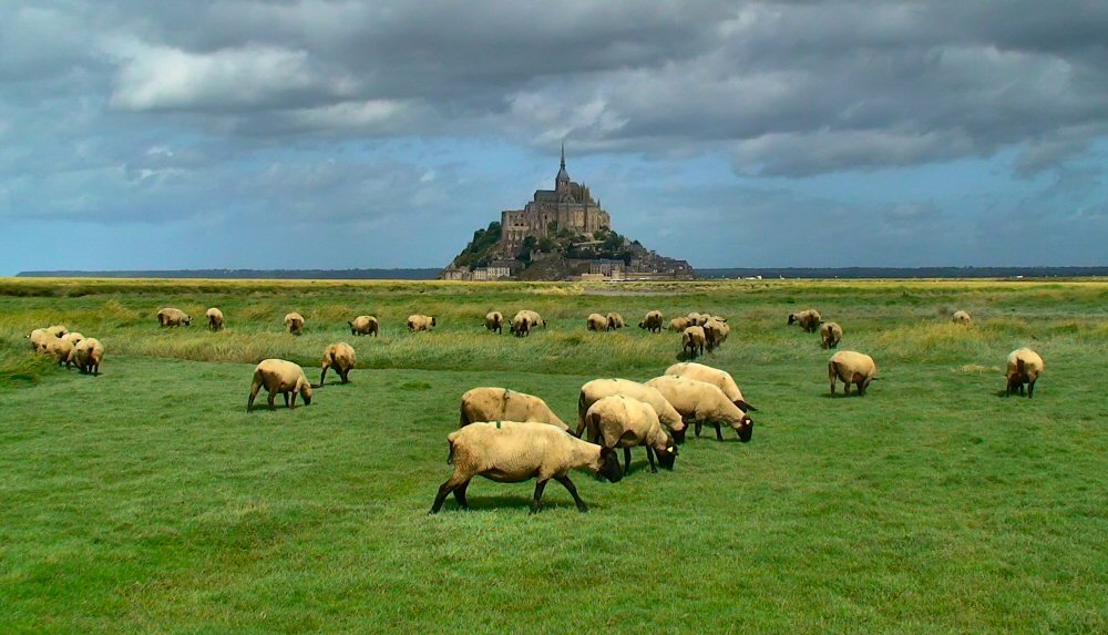 photo "Together with sheep to the abbey" tags: travel, landscape, Europe