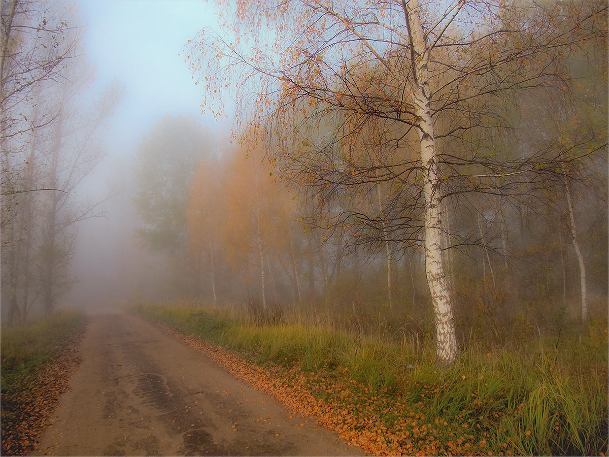 photo "***" tags: landscape, autumn, forest