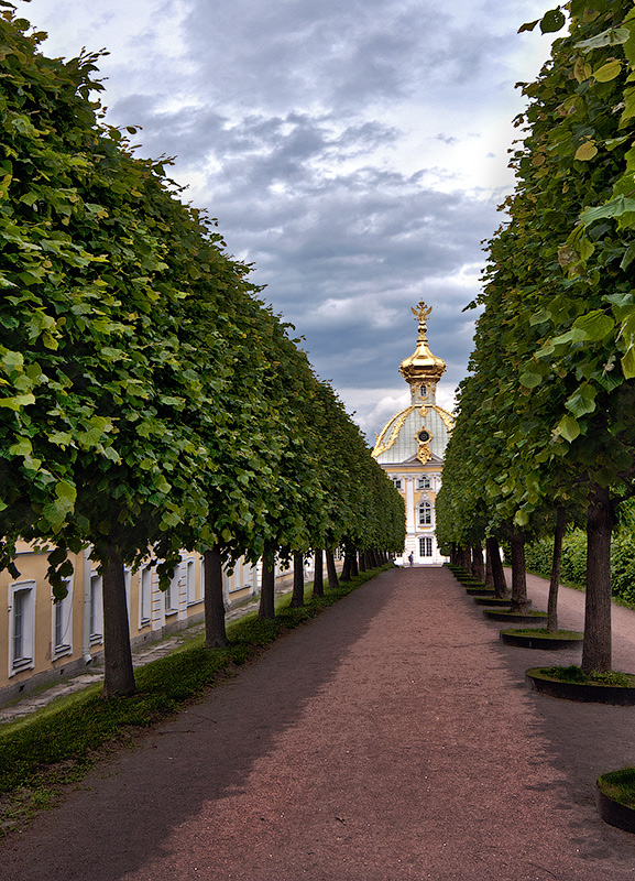 фото "Аллея" метки: пейзаж, путешествия, 